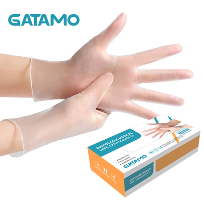 S6 vinyl gloves clear Food Pvc Powder Free Hand Plastic Vinyl Gloves Manufacturer