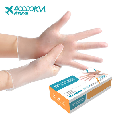 S5 Transparent Powder Free Kitchen Household Clean Vinyl Gloves China PVC Exam Gloves