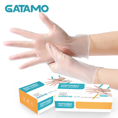 S4 Cheap Food Disposable Vinyl Hand Gloves Clean Transparent Powder Free Vinyl Gloves